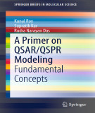 Ebook A primer on QSAR/QSPR modeling: Fundamental concepts