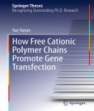Ebook How free cationic polymer chains promote gene transfection
