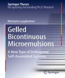 Ebook Gelled bicontinuous microemulsions: A new type of orthogonal self-assembled systems