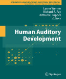 Ebook Human auditory development