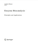 Ebook Enzyme biocatalysis: Principles and applications