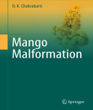 Ebook Mango malformation