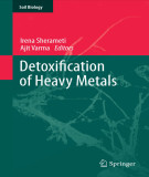 Ebook Detoxification of heavy metals