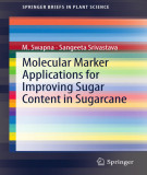 Ebook Molecular marker applications for improving sugar content in sugarcane
