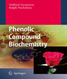 Ebook Phenolic compound biochemistry