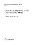 Ebook Ultradian rhythms from molecules to mind: A new vision of life