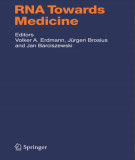 Ebook RNA towards medicine