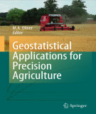 Ebook Geostatistical applications for precision agriculture