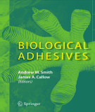 Ebook Biological adhesives