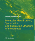 Ebook Molecular identification, systematics, and population strudure of prokaryotes