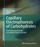 Ebook Capillary electrophoresis of carbohydrates: From monosaccharides to complex polysaccharides