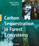 Ebook Carbon sequestration in forest ecosystems