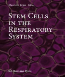 Ebook Stem cells in the respiratory system