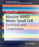 Ebook Massive MIMO meets small cell: Backhaul and cooperation