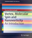 Ebook Vortex, molecular spin and nanovorticity: An introduction