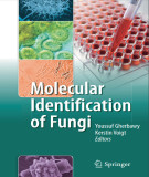Ebook Molecular identification of fungi