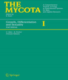 Ebook The Mycota: A comprehensive treatise on fungi as experimental systems for basic and applied research (Volume I: Growth, differentiation and sexuality)