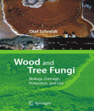 Ebook Wood and tree fungi: Biology, damage, protection, and use