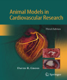 Ebook Animal models in cardiovascular research (Third edition)