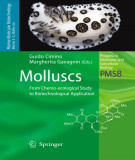 Ebook Molluscs: From chemo-ecological study to biotechnological application