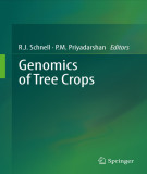 Ebook Genomics of tree crops