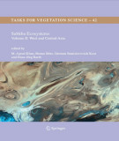 Ebook Tasks for vegetation science 42: Sabkha ecosystems (Volume II: West and Central Asia)