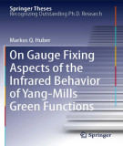 Ebook On gauge fixing aspects of the infrared behavior of Yang-Mills green functions