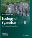 Ebook Ecology of cyanobacteria II: Their diversity in space and time