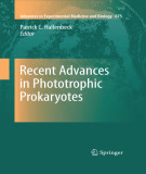 Ebook Recent advances in phototrophic prokaryotes