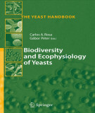 Ebook Biodiversity and ecophysiology of yeasts