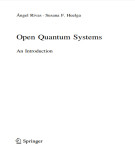 Ebook Open quantum systems: An introduction