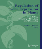 Ebook Regulation of gene expression in plants: The role of transcript structure and processing