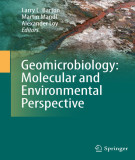 Ebook Geomicrobiology: Molecular and environmental perspective