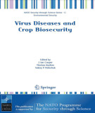 Ebook Virus diseases and crop biosecurity