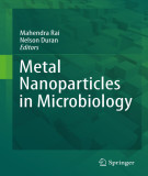 Ebook Metal nanoparticles in microbiology