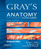 Ebook Anatomy for students flash cards: Part 1