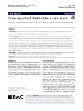 Osteosarcoma of the bladder: A case report