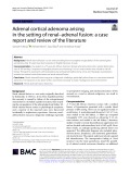 Adrenal cortical adenoma arising in the setting of renal–adrenal fusion: A case report and review of the literature