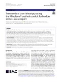 Transurethral laser lithotripsy using the Mitrofanof urethral conduit for bladder stones: A case report