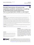 Prenatal transmission of severe acute respiratory syndrome coronavirus 2, resulting in neonatal severe acute pneumonia, from an asymptomatic mother: A case report