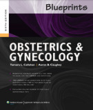 Ebook Blueprints obstetrics & gynecology (Sixth edition) - Part 2