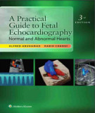 Ebook A practical guide to fetal echocardiography: Normal and abnormal hearts (Third edition) - Part 2