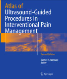 Ebook Atlas of ultrasound-guided procedures in interventional pain management Second edition): Part 1