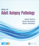 Ebook Atlas of adult autopsy pathology: Part 1