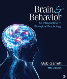 Ebook Brain & behavior: An introduction to biological psychology (fourth edition) - Part 1
