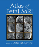 Ebook Atlas of fetal MRI: Part 1