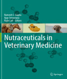 Ebook Nutraceuticals in veterinary medicine: Part 2