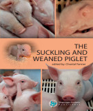 Ebook The suckling and weaned piglet: Part 1