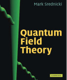 Ebook Quantum field theory: Part 2