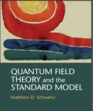 Ebook Quantum field theory and the standard model: Part 1